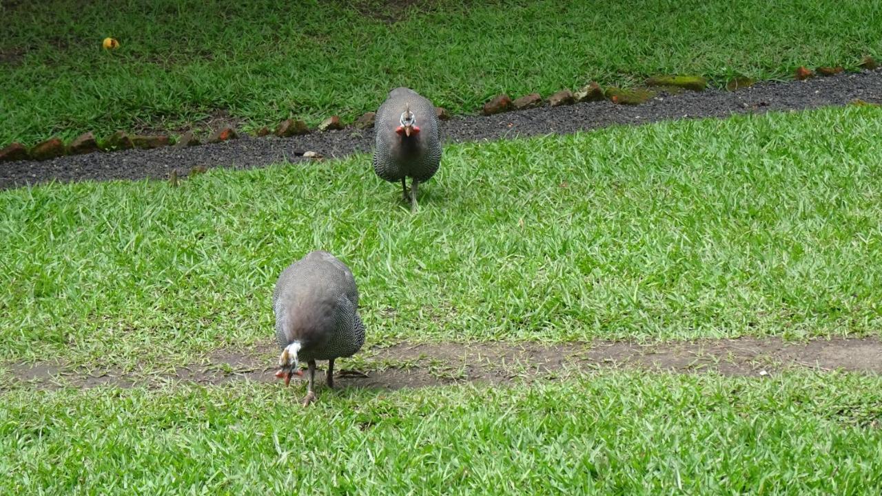 Kivu Beach Garden Gisenyi Zewnętrze zdjęcie