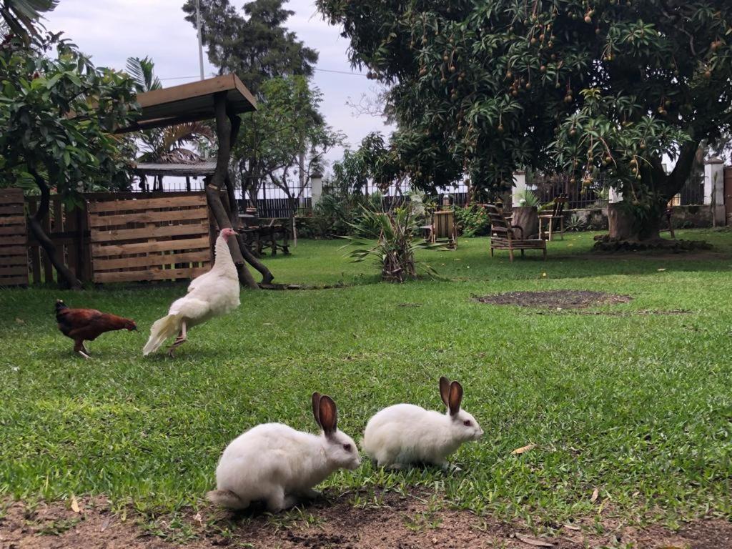 Kivu Beach Garden Gisenyi Zewnętrze zdjęcie