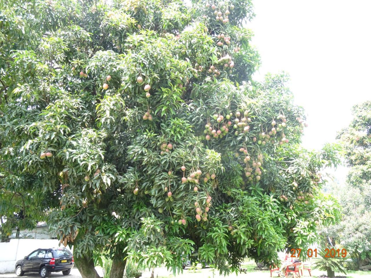 Kivu Beach Garden Gisenyi Zewnętrze zdjęcie